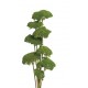 YARROW Moss 22" - OUT OF STOCK 